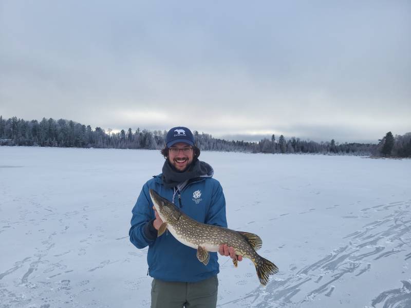 Northern pike in Lake County
