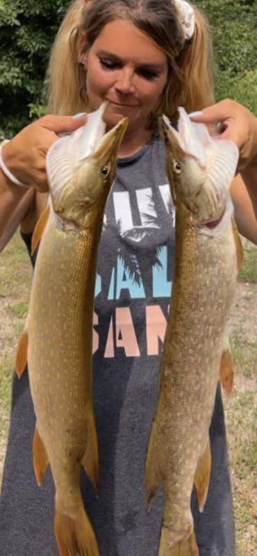 Northern pike in Itasca County