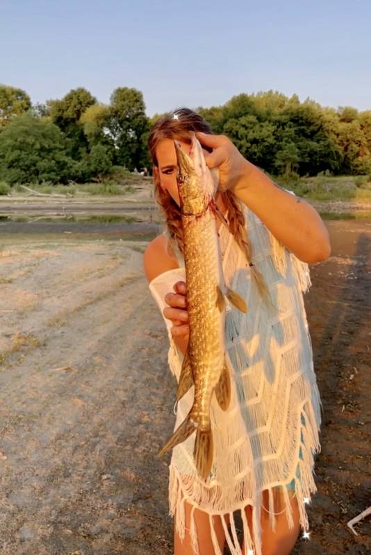 Northern pike in Burnsville