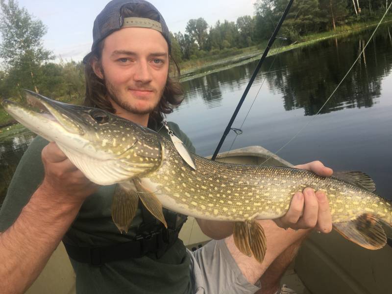 Northern pike in Laingsburg