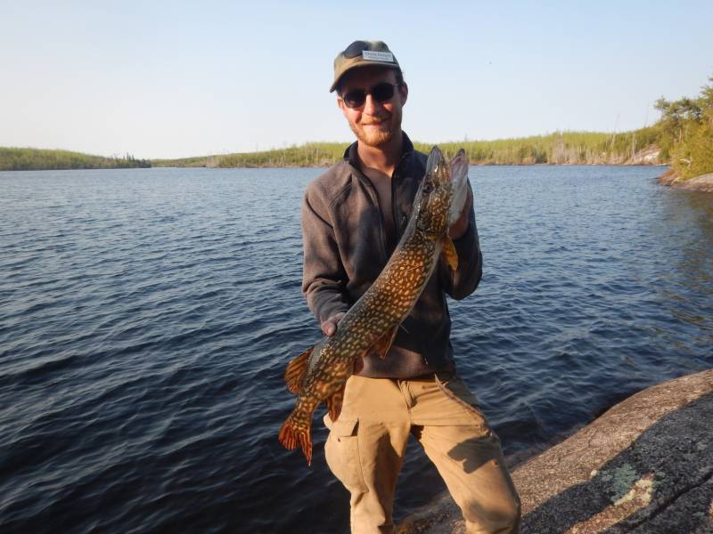 Northern pike in Cook County