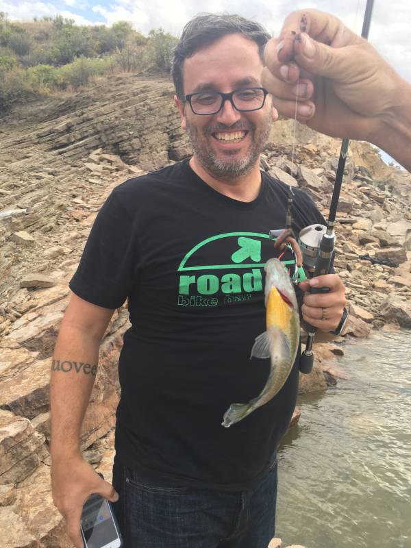Bluegill in Fort Collins