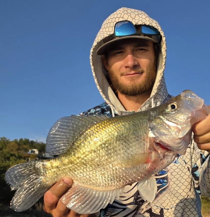 White crappie in Jacksboro