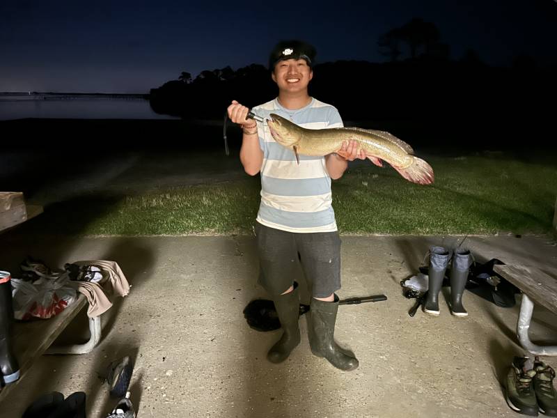 Bowfin in Virginia Beach