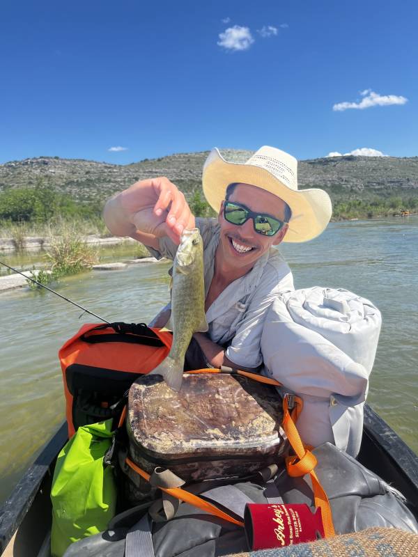 Smallmouth bass in Val Verde County