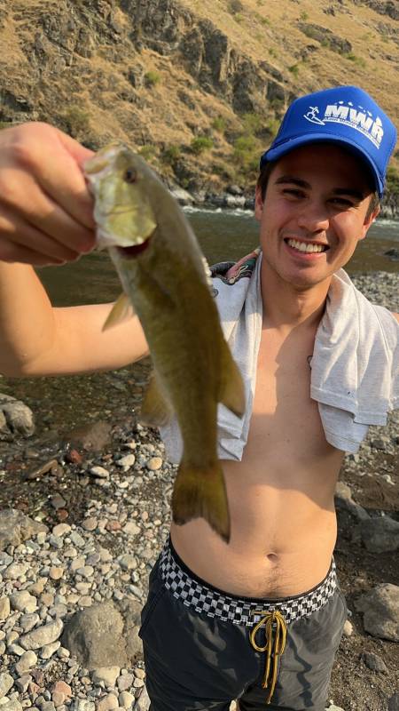 Smallmouth bass in Snake River