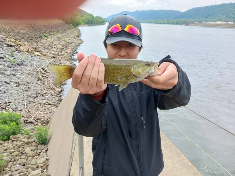 Smallmouth bass in Columbiana