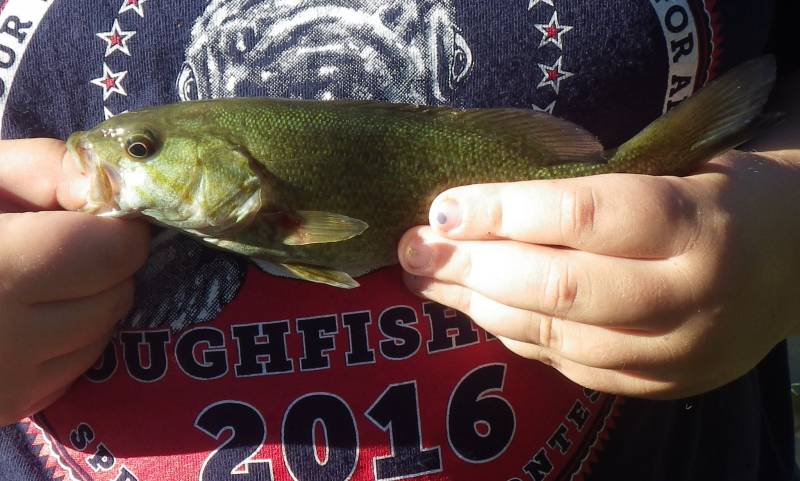 Smallmouth bass in Grundy County