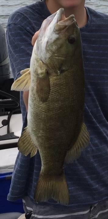 Smallmouth bass in Douglas County