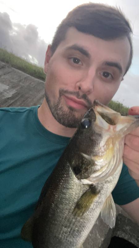 Largemouth bass in Davenport