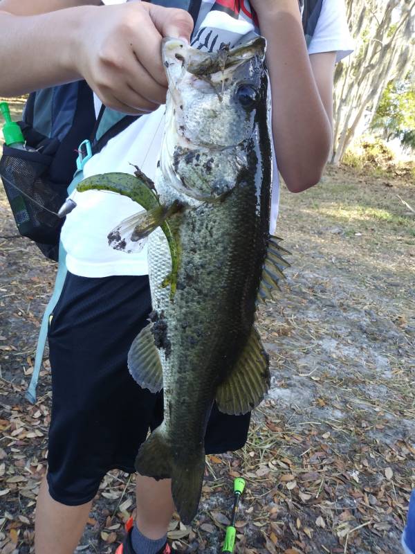 Largemouth bass in Eagle Lake