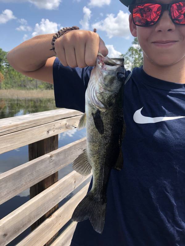 Largemouth bass in New Smyrna Beach