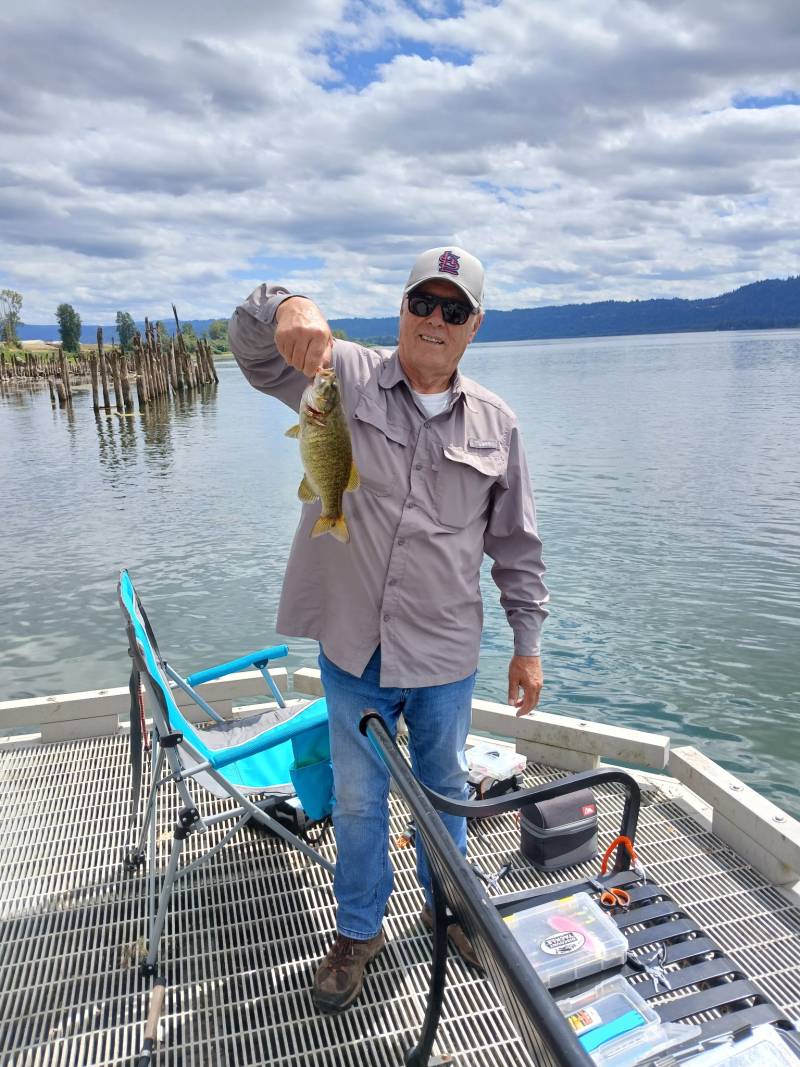 Smallmouth bass in Felida