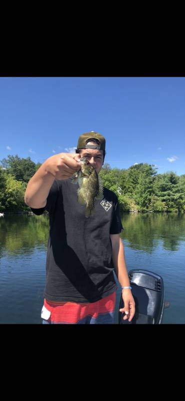 Rock bass in Salem