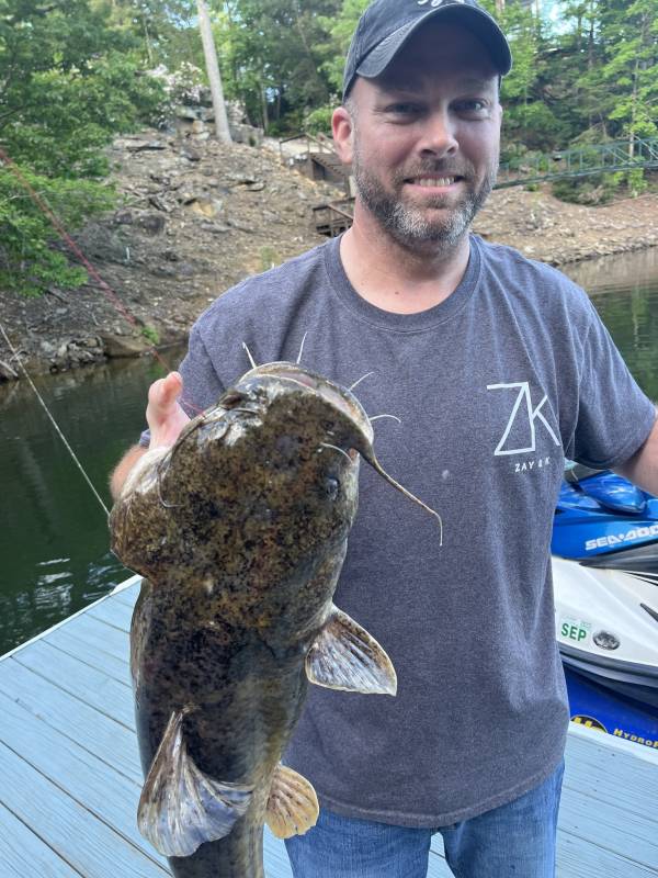Flathead catfish in Cullman