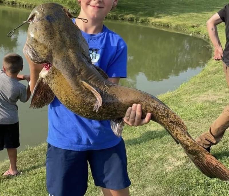 Flathead catfish in Kentucky