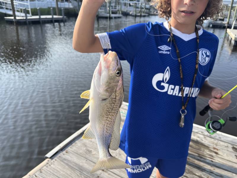 Atlantic croaker in North Carolina