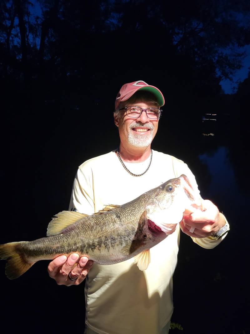 Largemouth bass in Webster