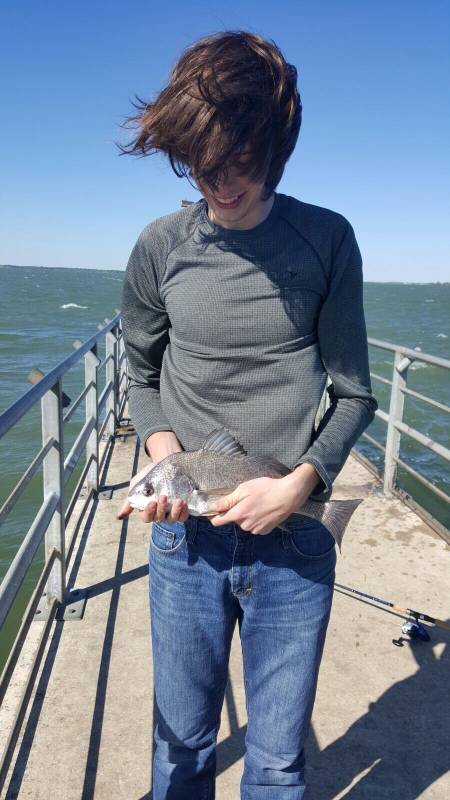 Freshwater drum in Lake Dallas