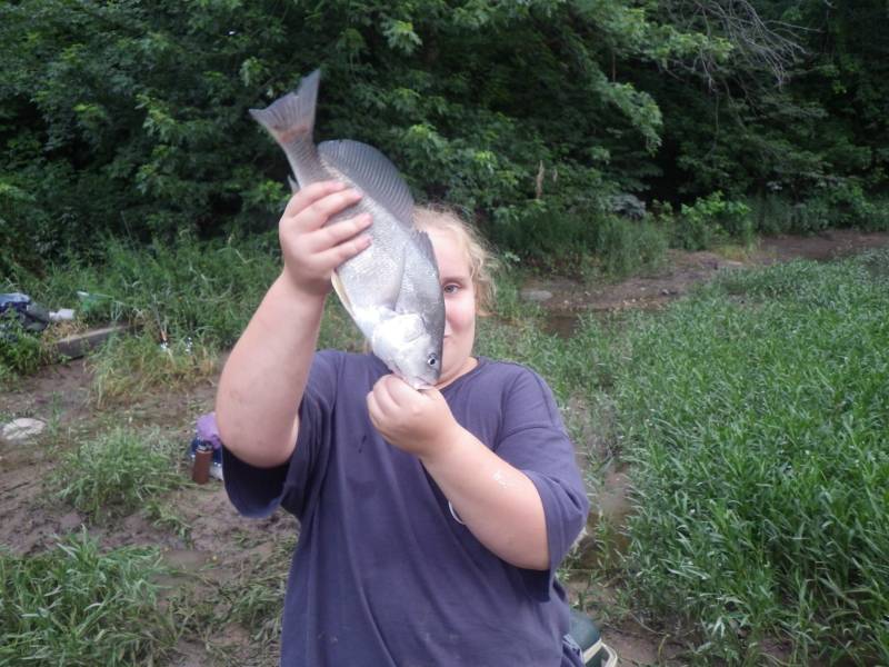 Freshwater drum in Joliet