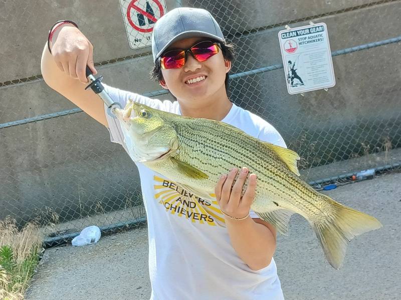 Wiper in Mingo Junction