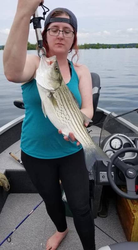 Wiper in Monroe County