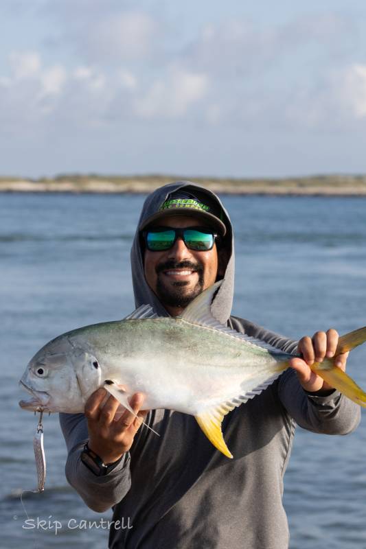 Crevalle jack in Taft
