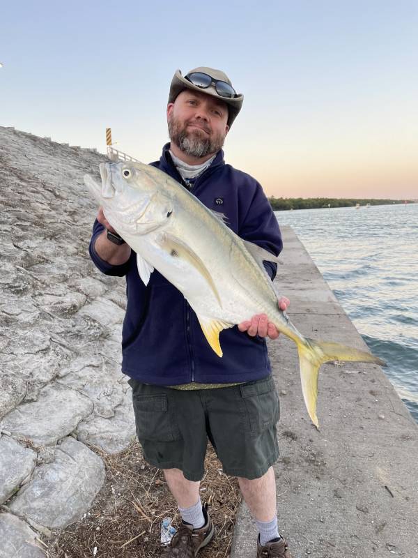 Crevalle jack in Saint Lucie Village
