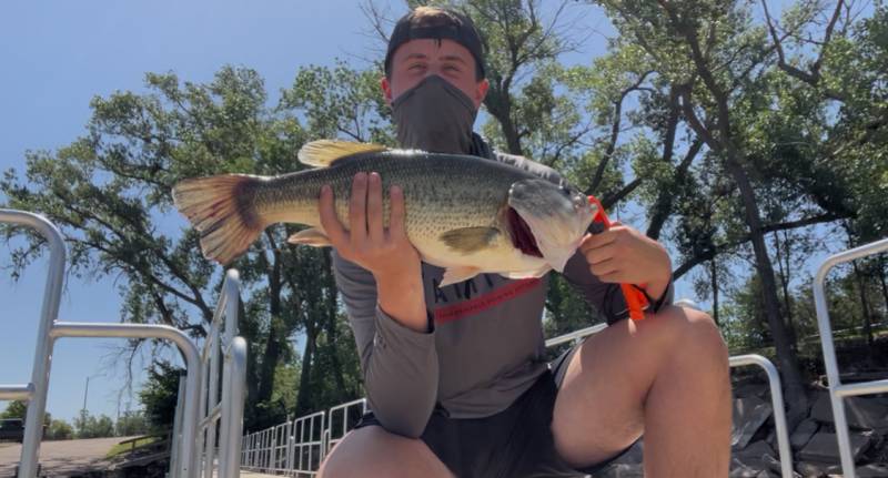 Largemouth bass in Barton County