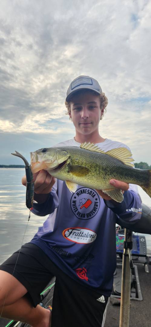 Largemouth bass in Lake Saint Croix Beach