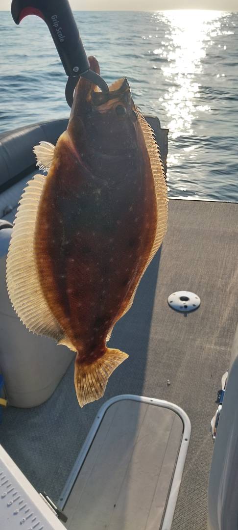 Flounder in Freeport
