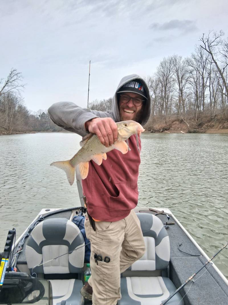 River suckerfish in United States