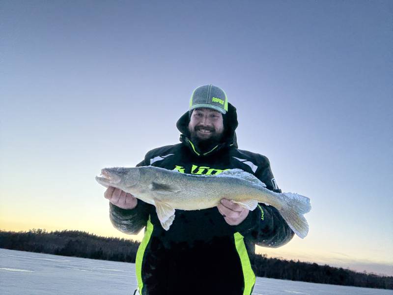 Walleye in United States