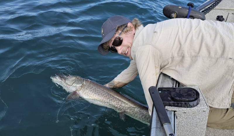Muskellunge in Grosse Pointe Woods