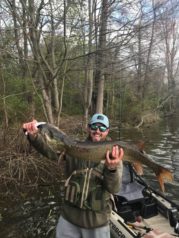 Muskellunge in Parkesburg
