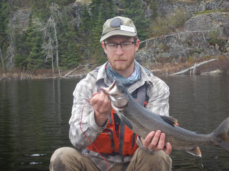 Lake trout in Minnesota