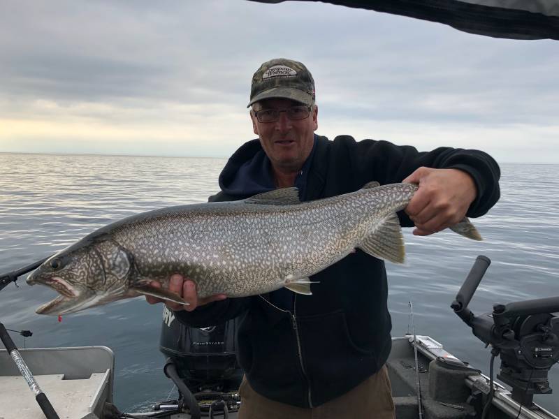 Lake trout in Duluth