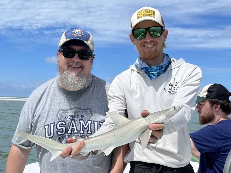 Bonnethead shark in Naples