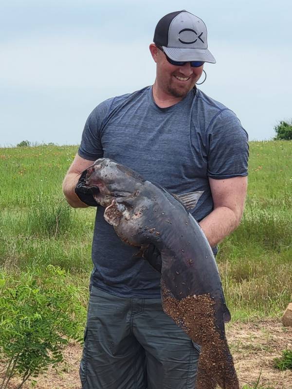 Blue catfish in Carnegie