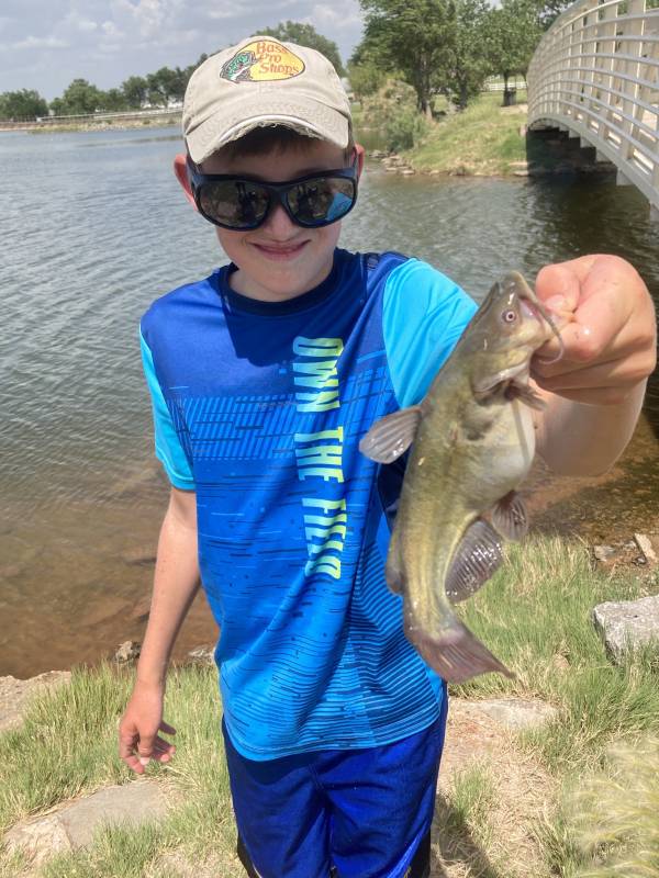 Brown bullhead in Oklahoma