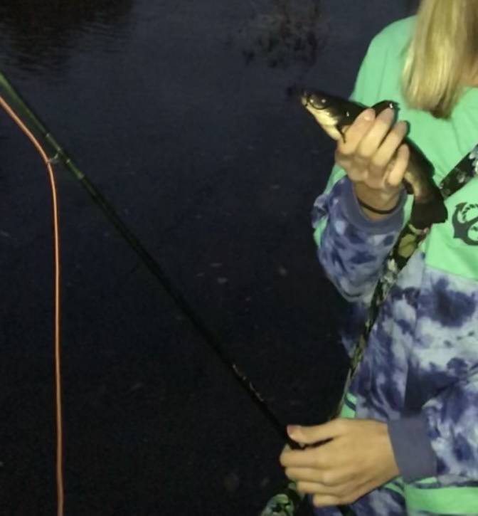 Black bullhead in Utah