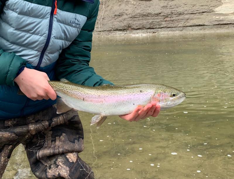 Redeye bass in Ashtabula