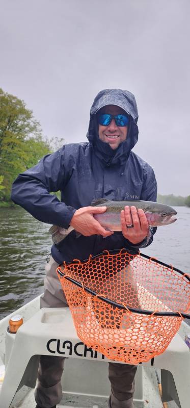 Rainbow trout in Orwigsburg