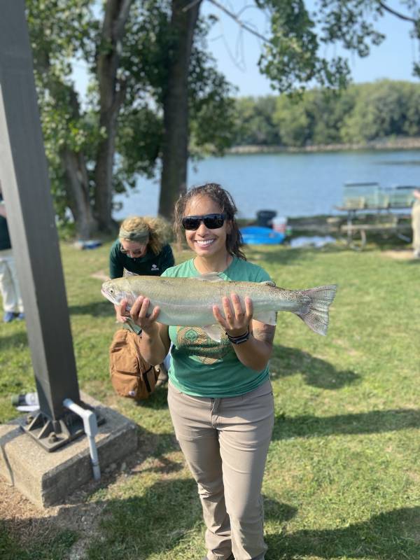 Steelhead in Westlake