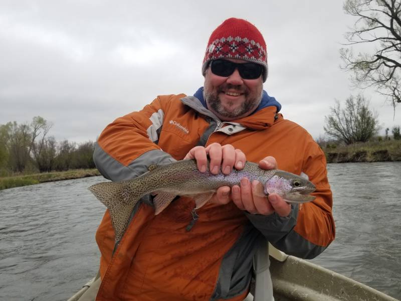 Rainbow trout in Madison River