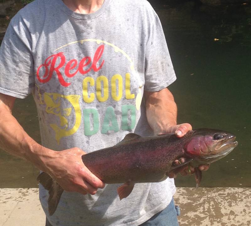Steelhead in Iowa