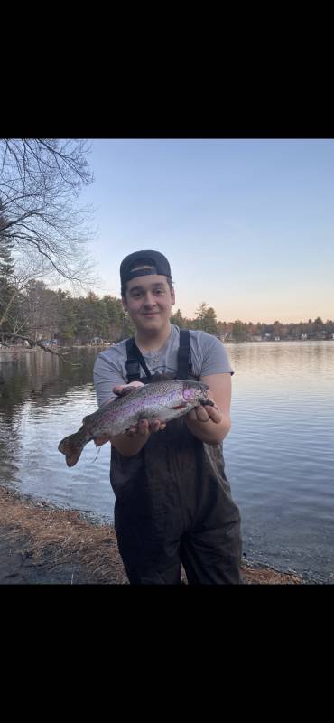 Rainbow trout in Hampstead