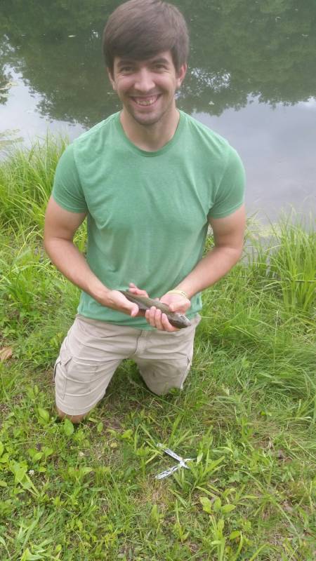 Rainbow trout in Winchester