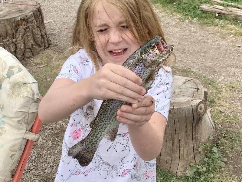 Rainbow trout in New Mexico