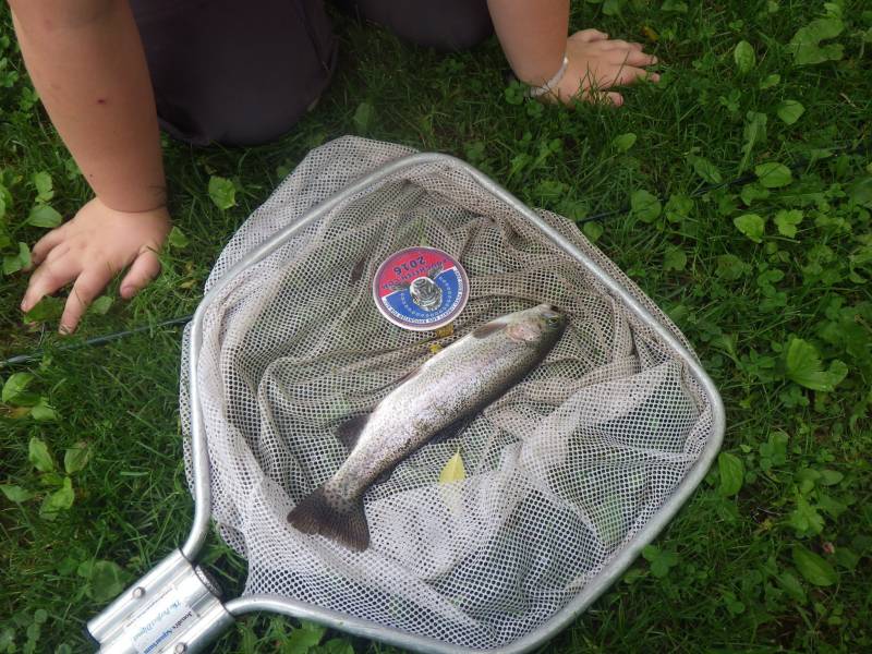 Rainbow trout in Iowa